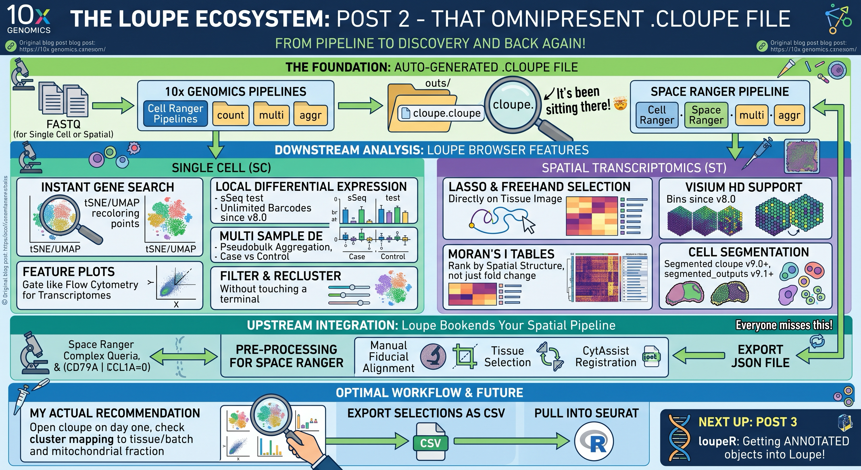 The .cloupe lifecycle across Cell Ranger, Loupe Browser and Seurat